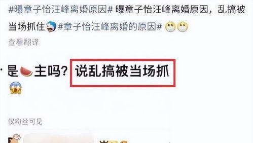 刘大锤今日爆料最新消息,今日热点事件最新进展揭秘