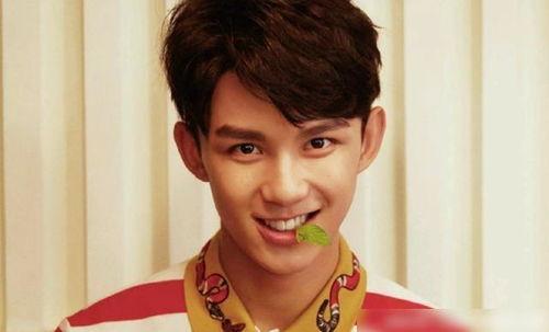 娱乐圈爆料君吴磊,揭秘明星幕后故事  第2张